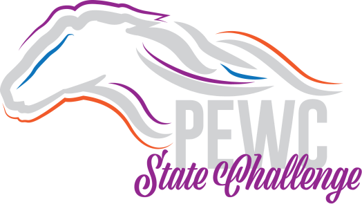 MN Challenge logo